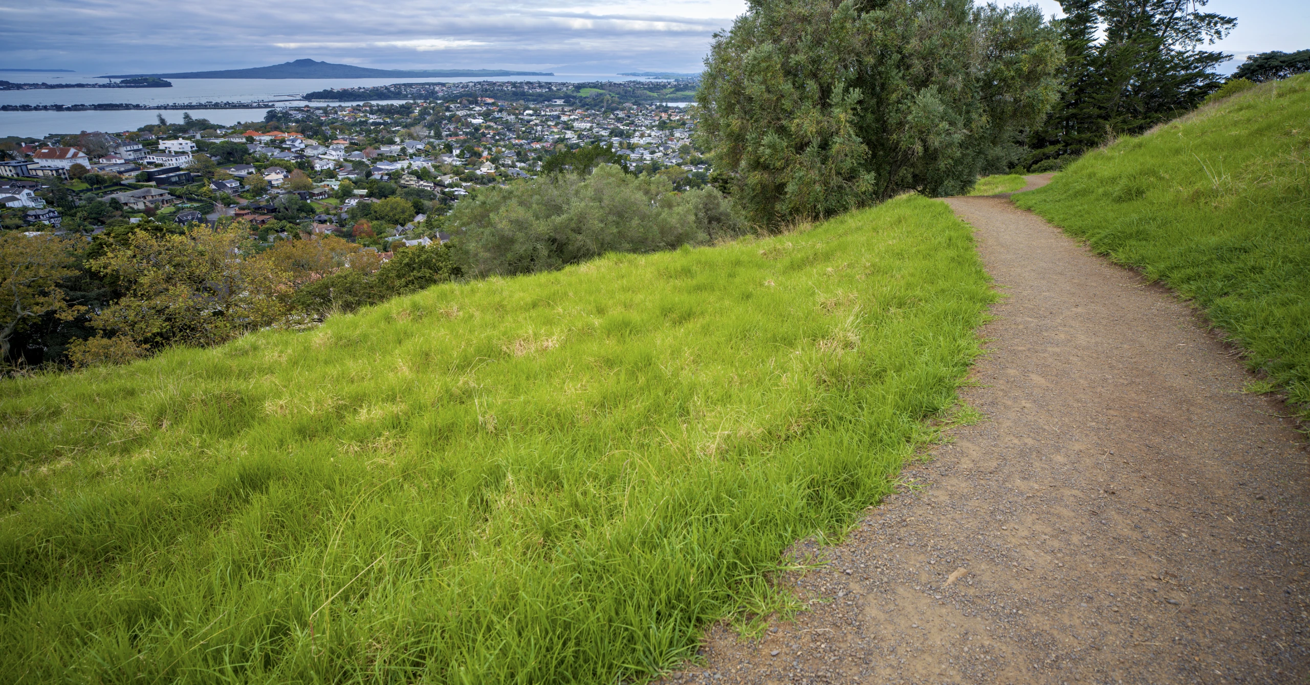 Ohinerau   Mt Hobson   0002053